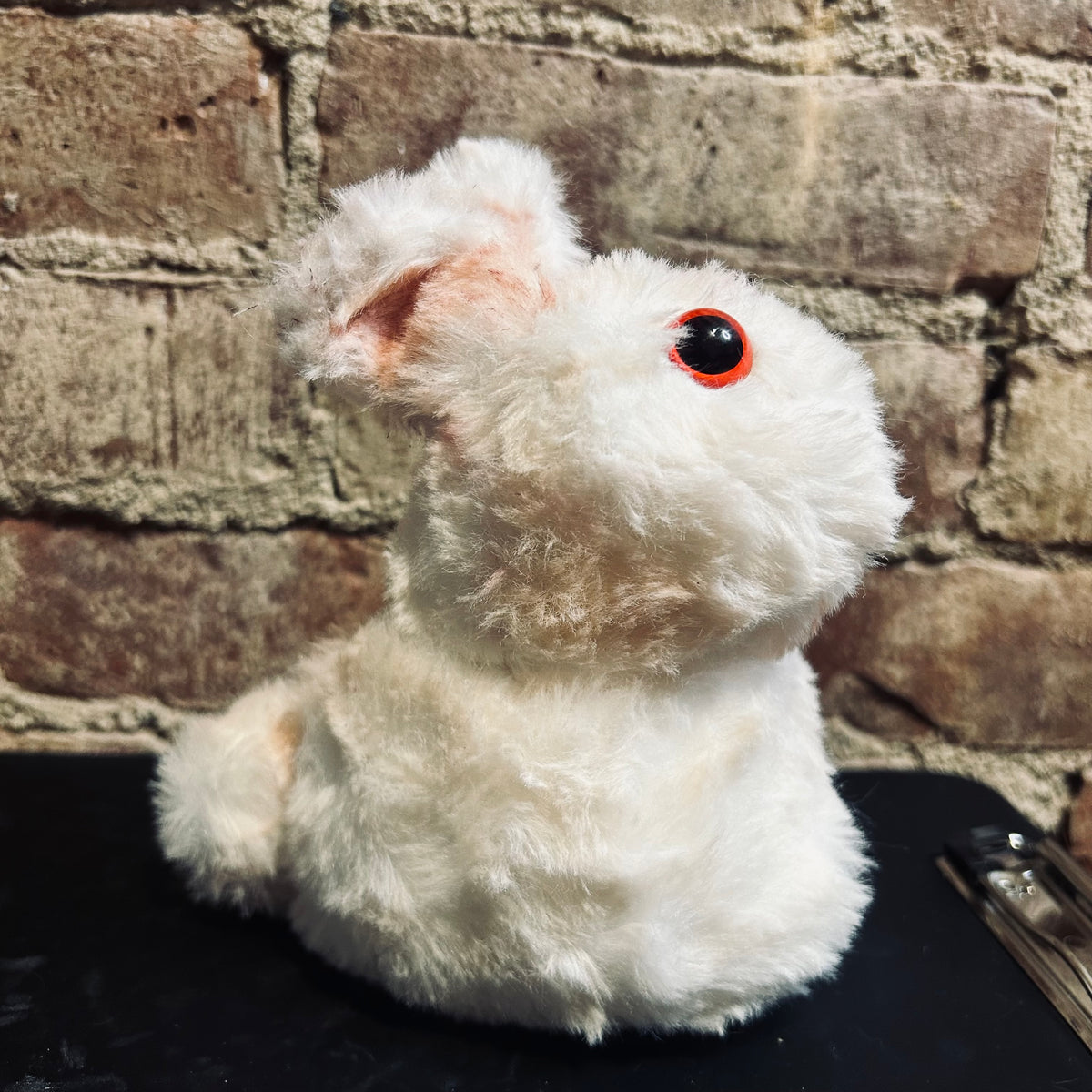 Cute Weighted Bunny