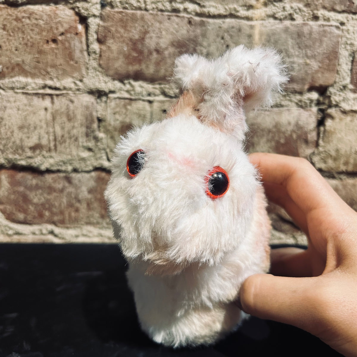 Cute Weighted Bunny