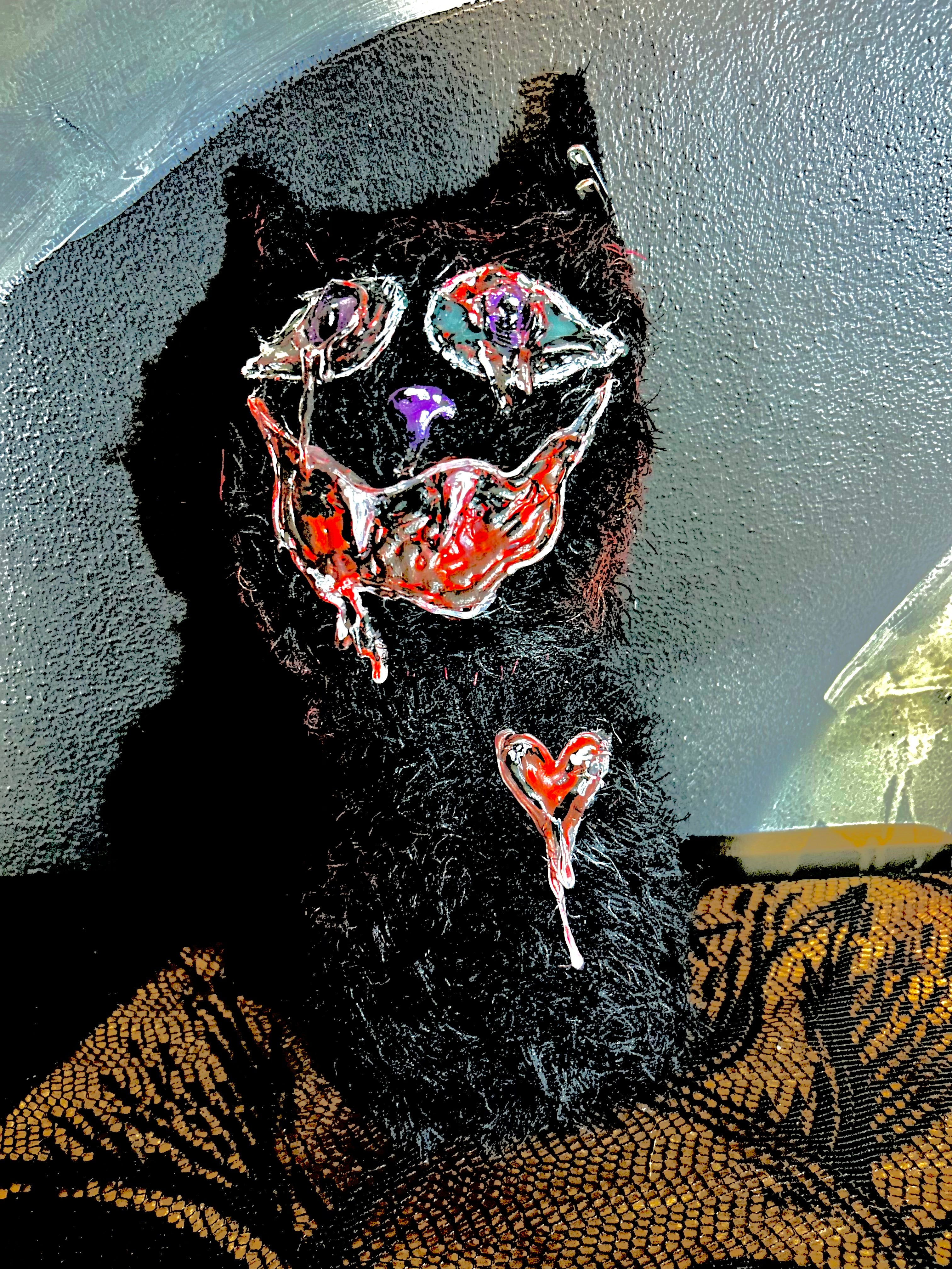Kitty