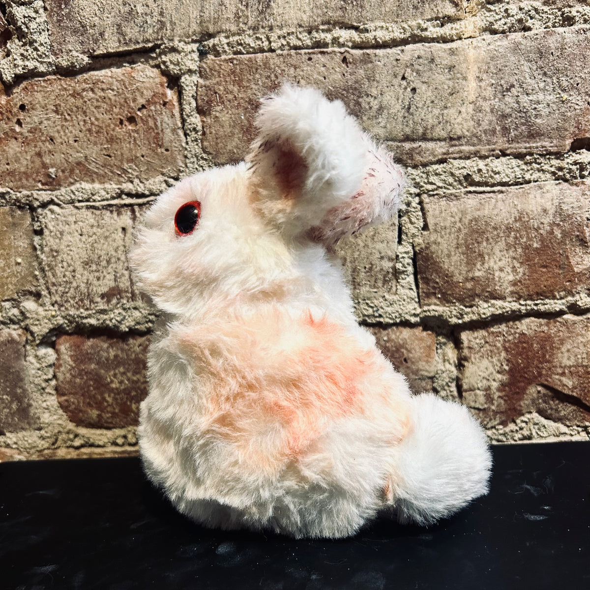 Cute Weighted Bunny
